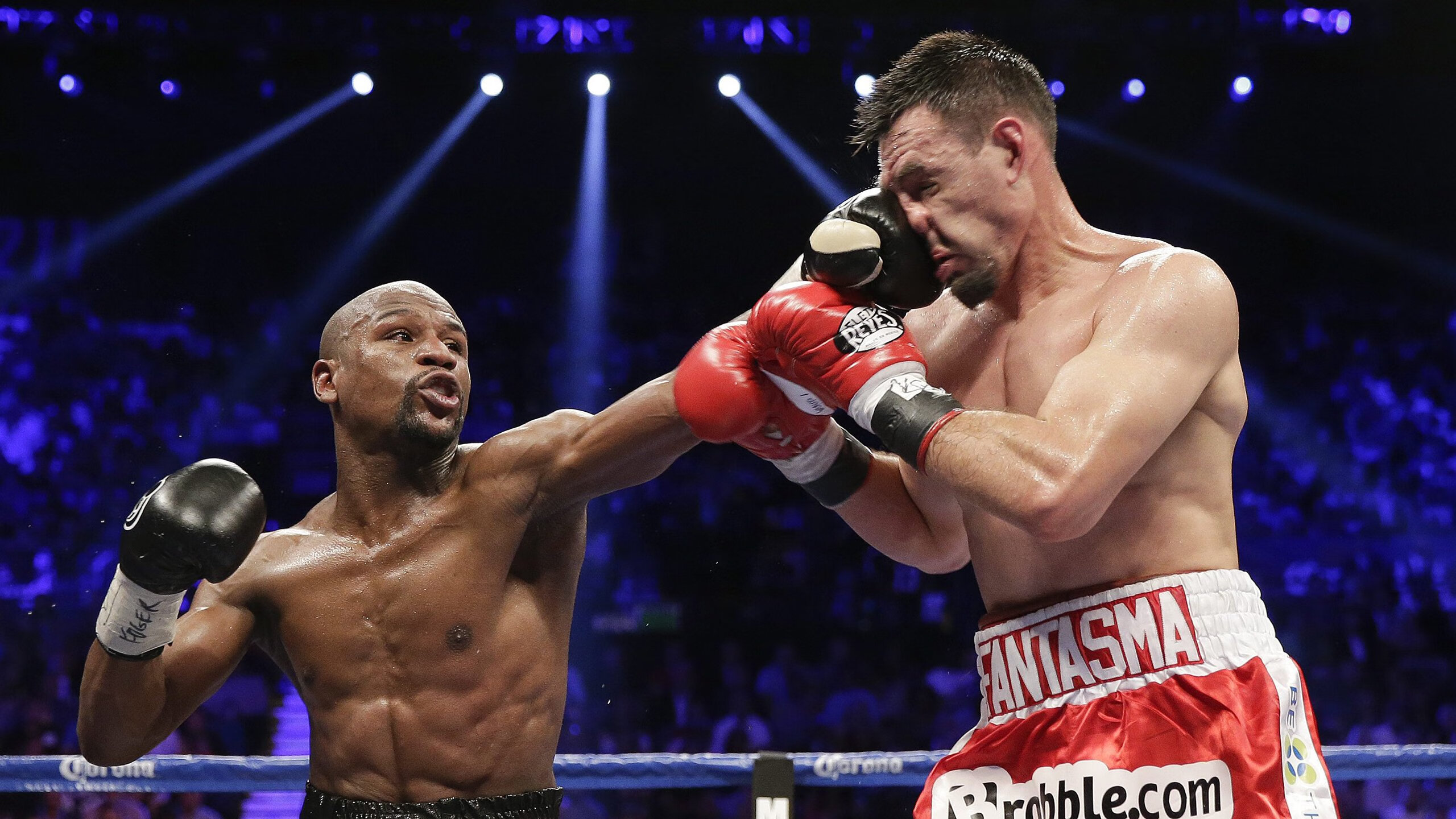 美国马术协会举办“Mustang Challenge”文化交流活动，促进传统文化传承。